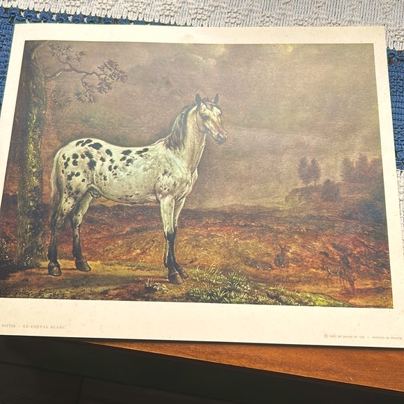 Piebald HorseFine art print 12x9Artist:Paul Potter 1663Print No: 39720